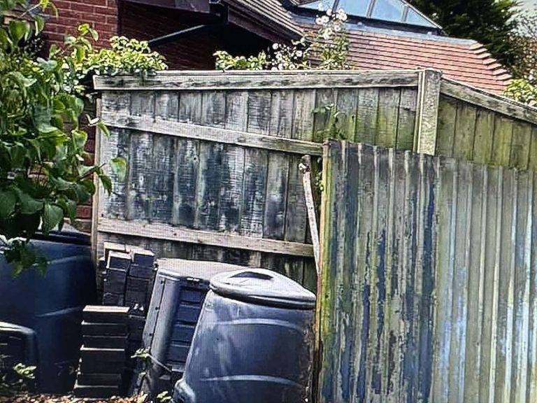 waste removal from shed in London